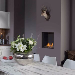 faber-fyn-450-gashaard-thumbnail